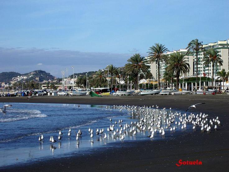Apartamento El Dorado Cerca Del Mar Málaga Exterior foto
